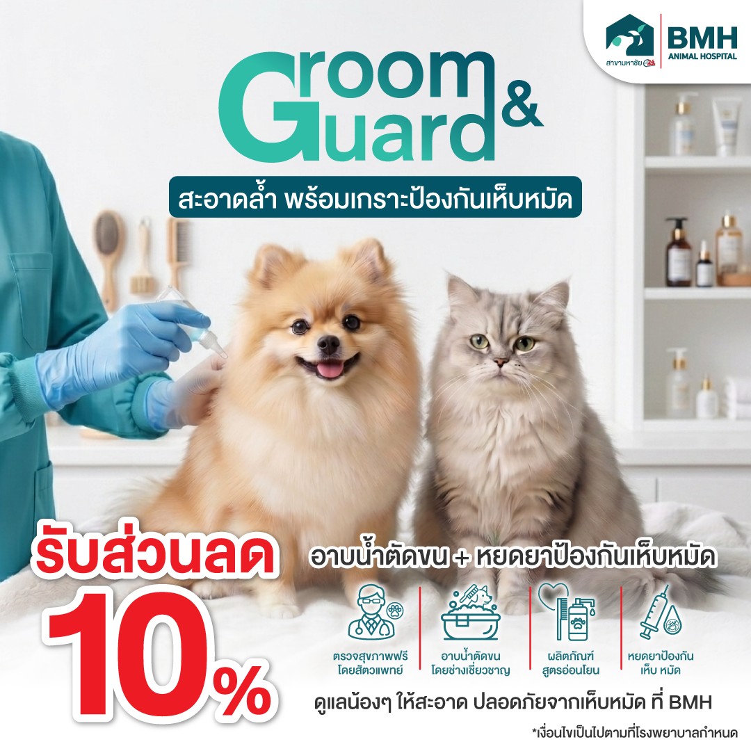 BMH Animal Hospital Baan Mahachai 24hr โรงพยาบาลสัตว์บีเอ็มเอช บ้านมหาชัย Facebook ad