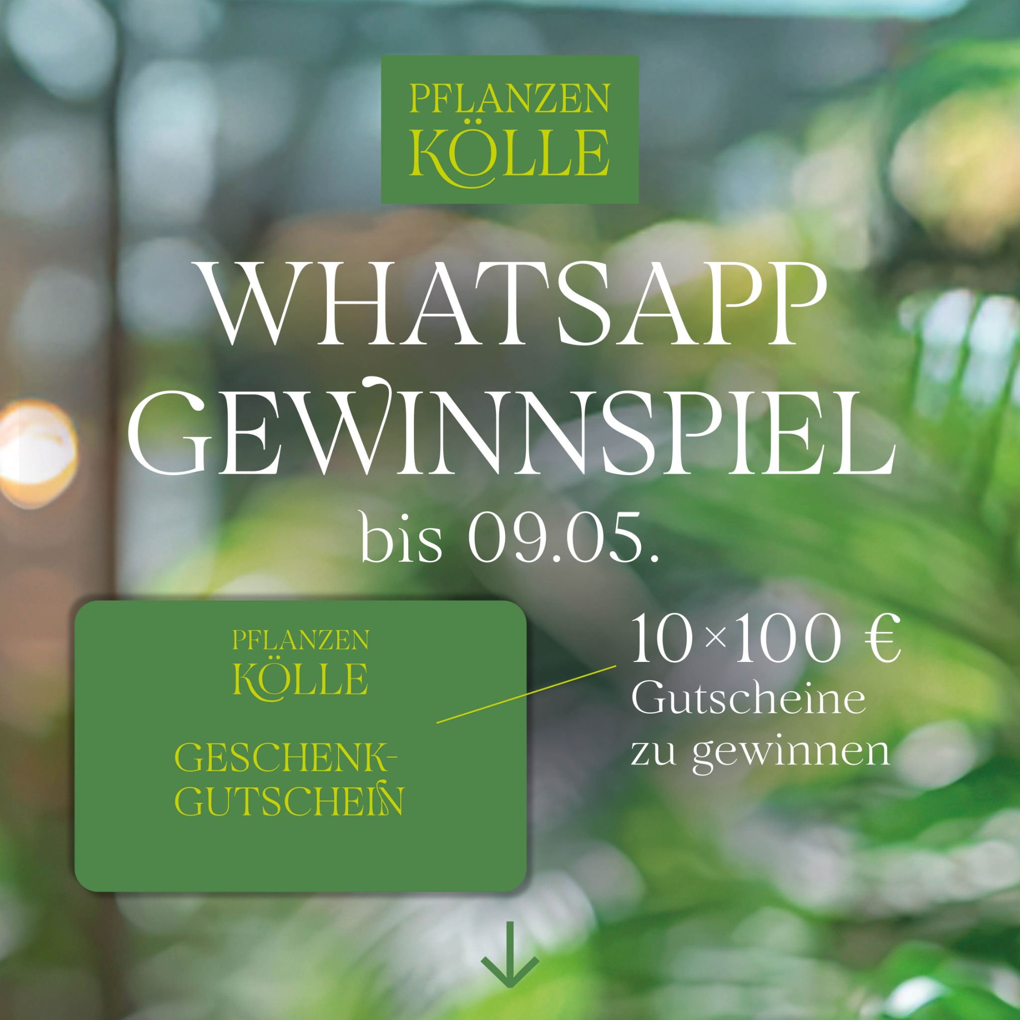 Pflanzen-Kölle Facebook ad