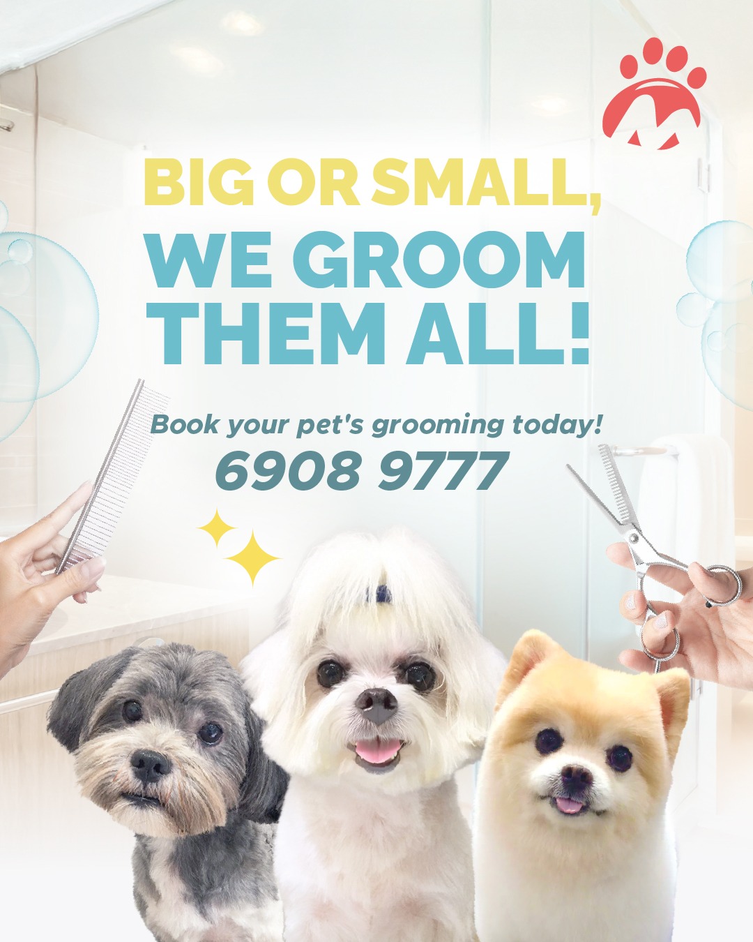 Pet Master Facebook ad