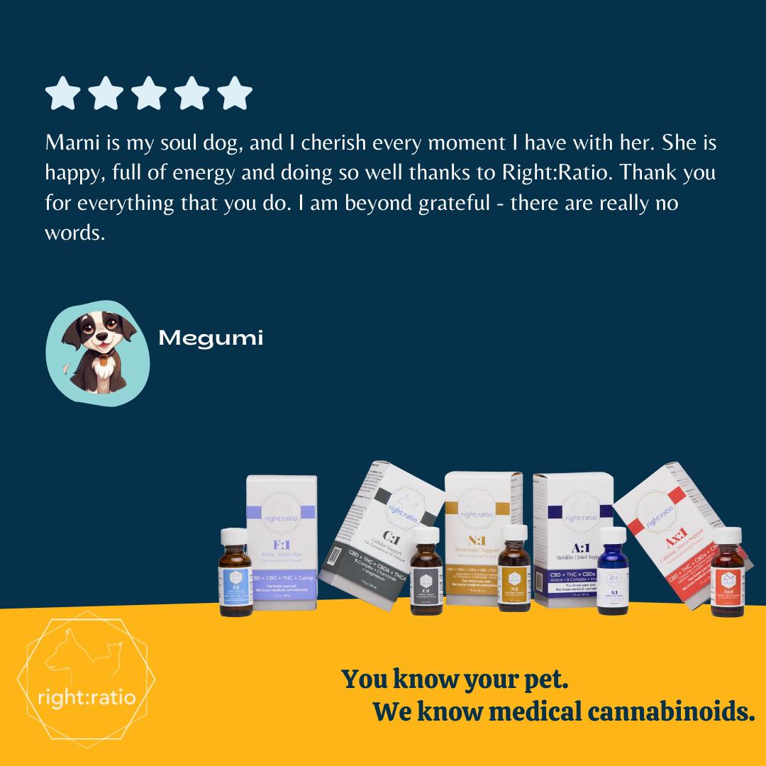 Right:Ratio for Pets Facebook ad