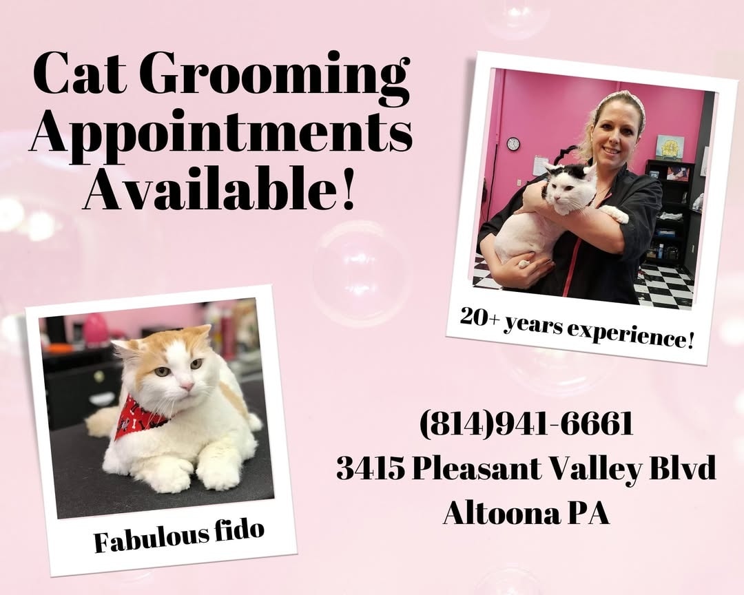 Fabulous Fido Facebook ad: Book your cats grooming or nail trim at…