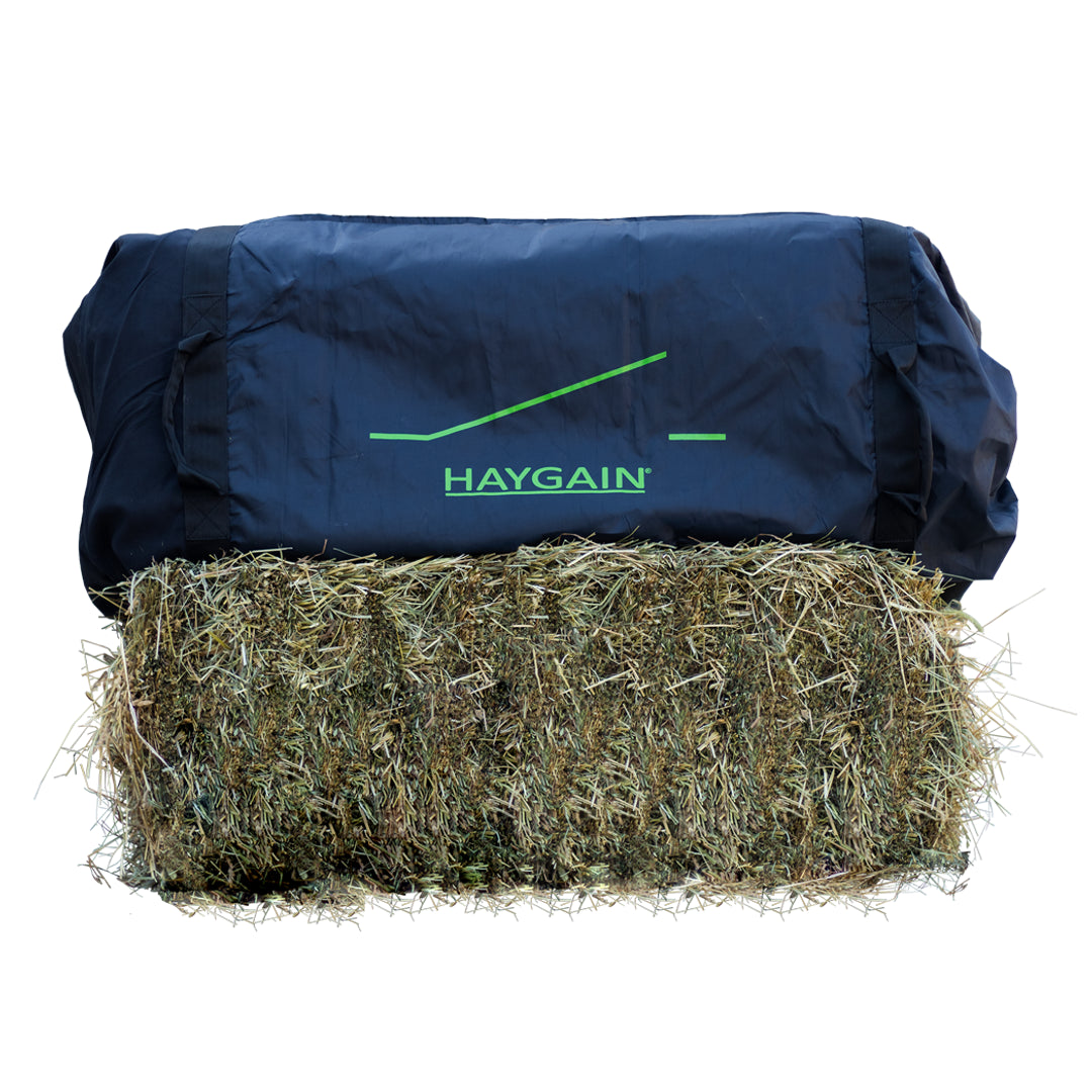 Haygain UK Facebook ad: Haygain’s patented steaming system is the only method…