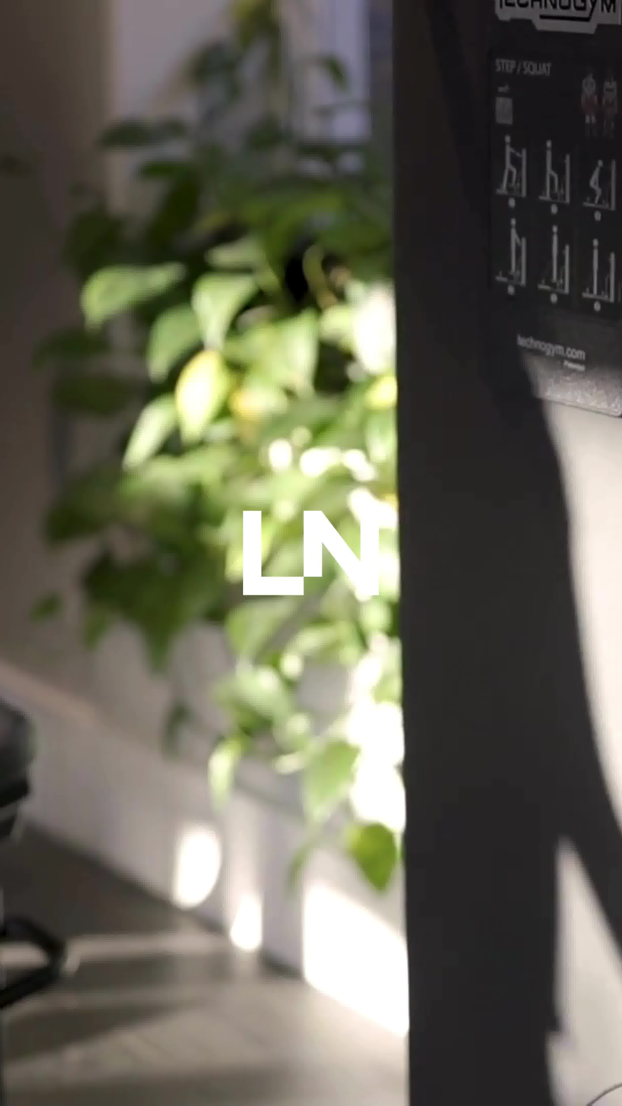 Little National Hotel Facebook ad: Linger A Little Longer