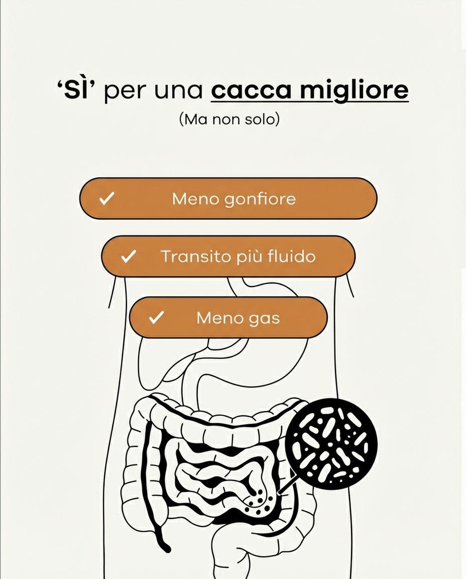 Circles Italia Facebook ad