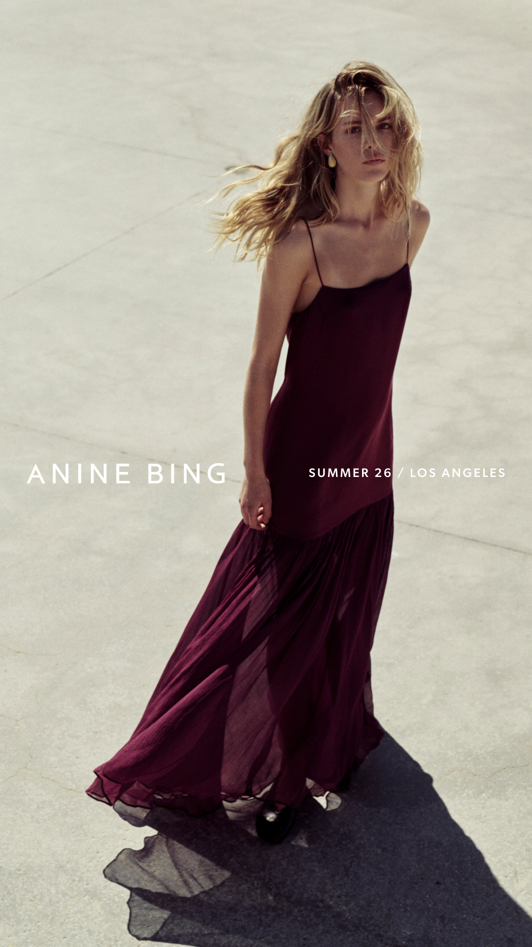 ANINE BING Facebook ad