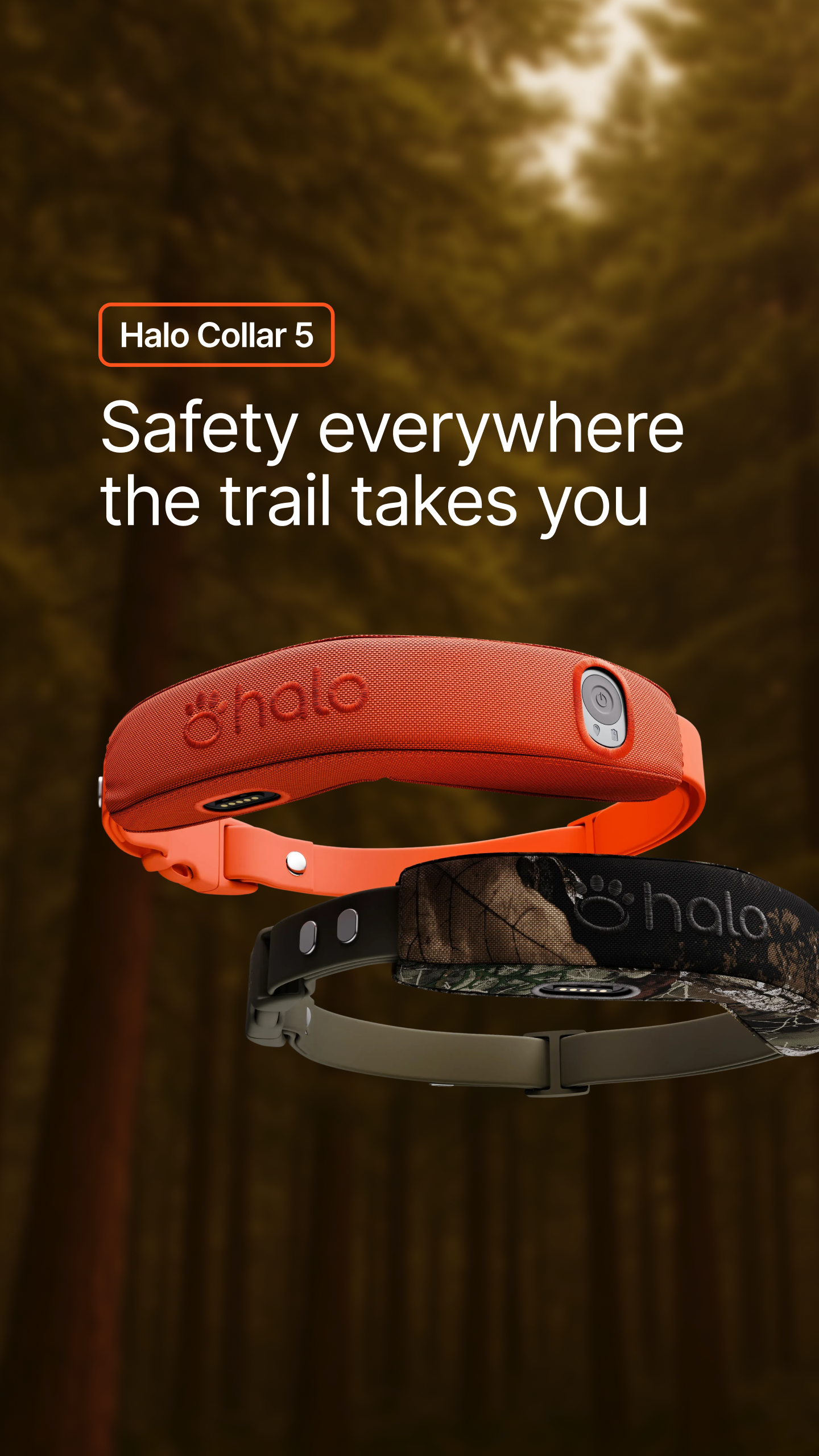 Halo Collar Facebook ad