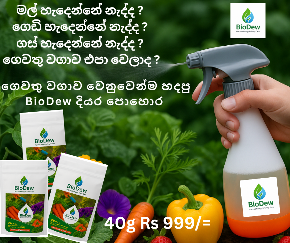 BioDew Sri lanka Facebook ad from Oct 13, 2025