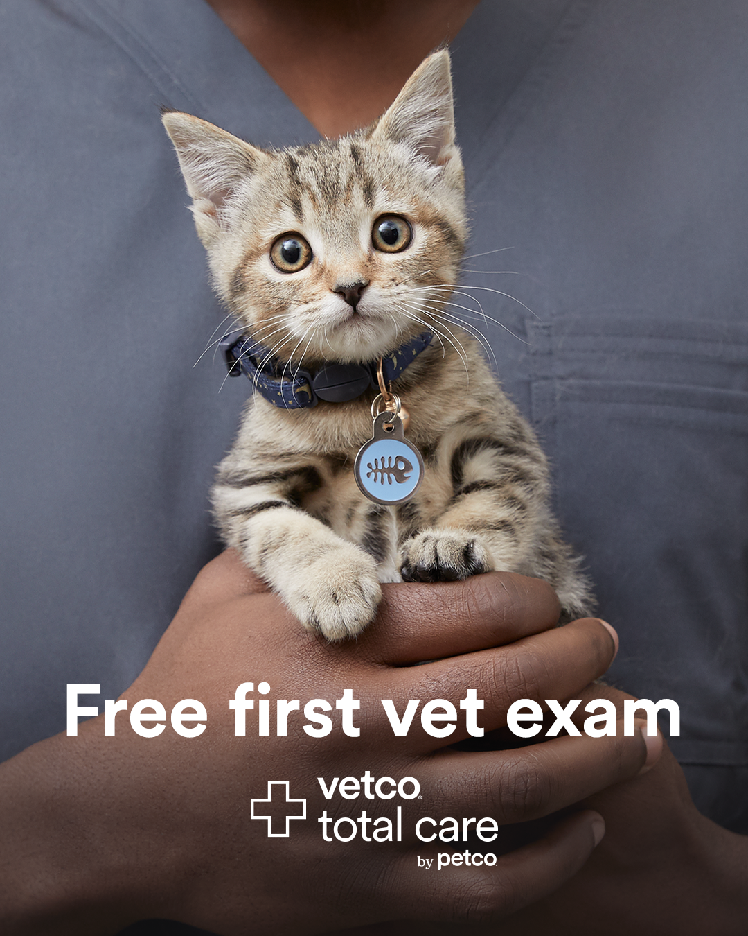 Petco Facebook ad