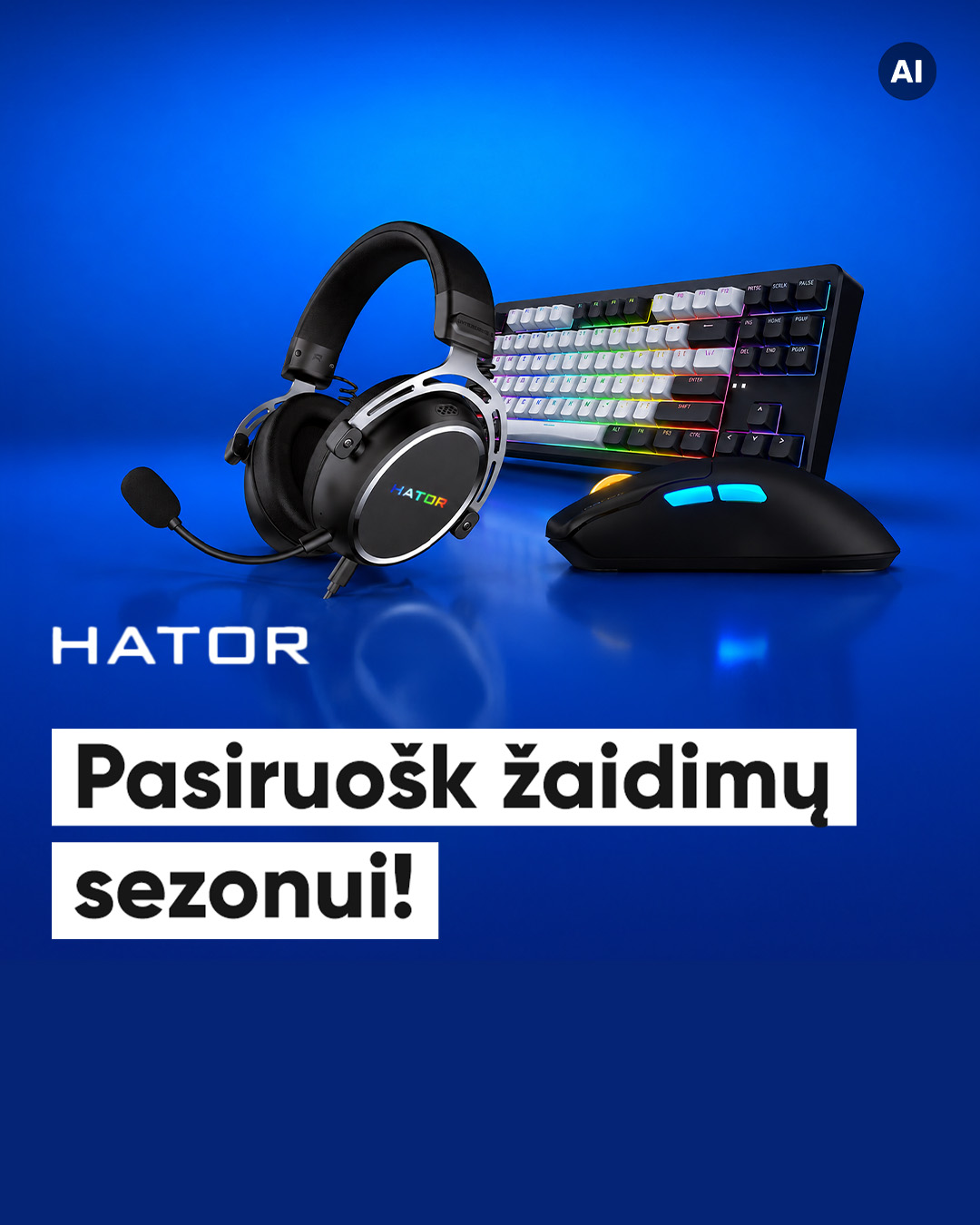 Pigu.lt Facebook ad