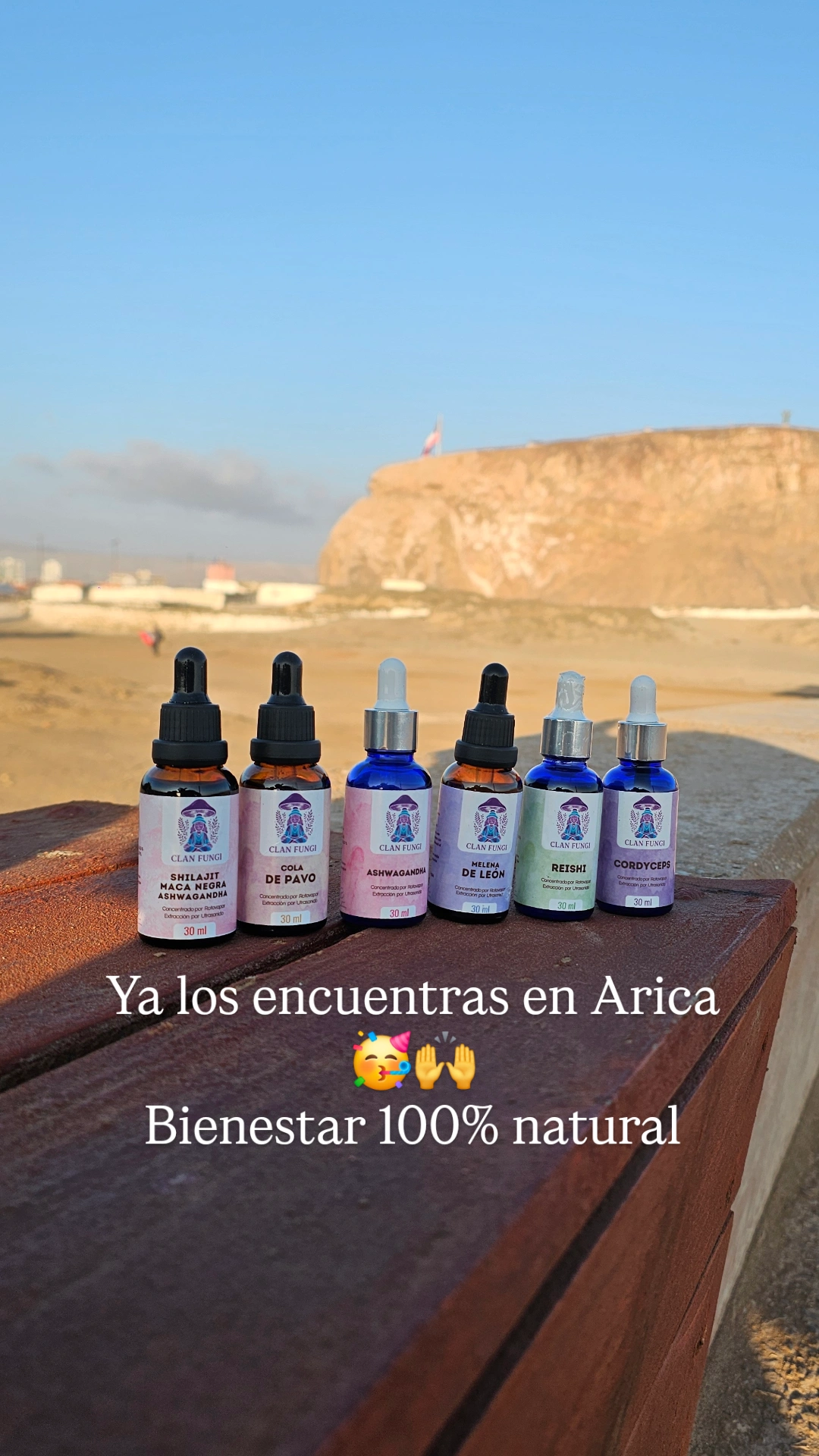 ClanFungi Facebook ad: Chatea con nosotros