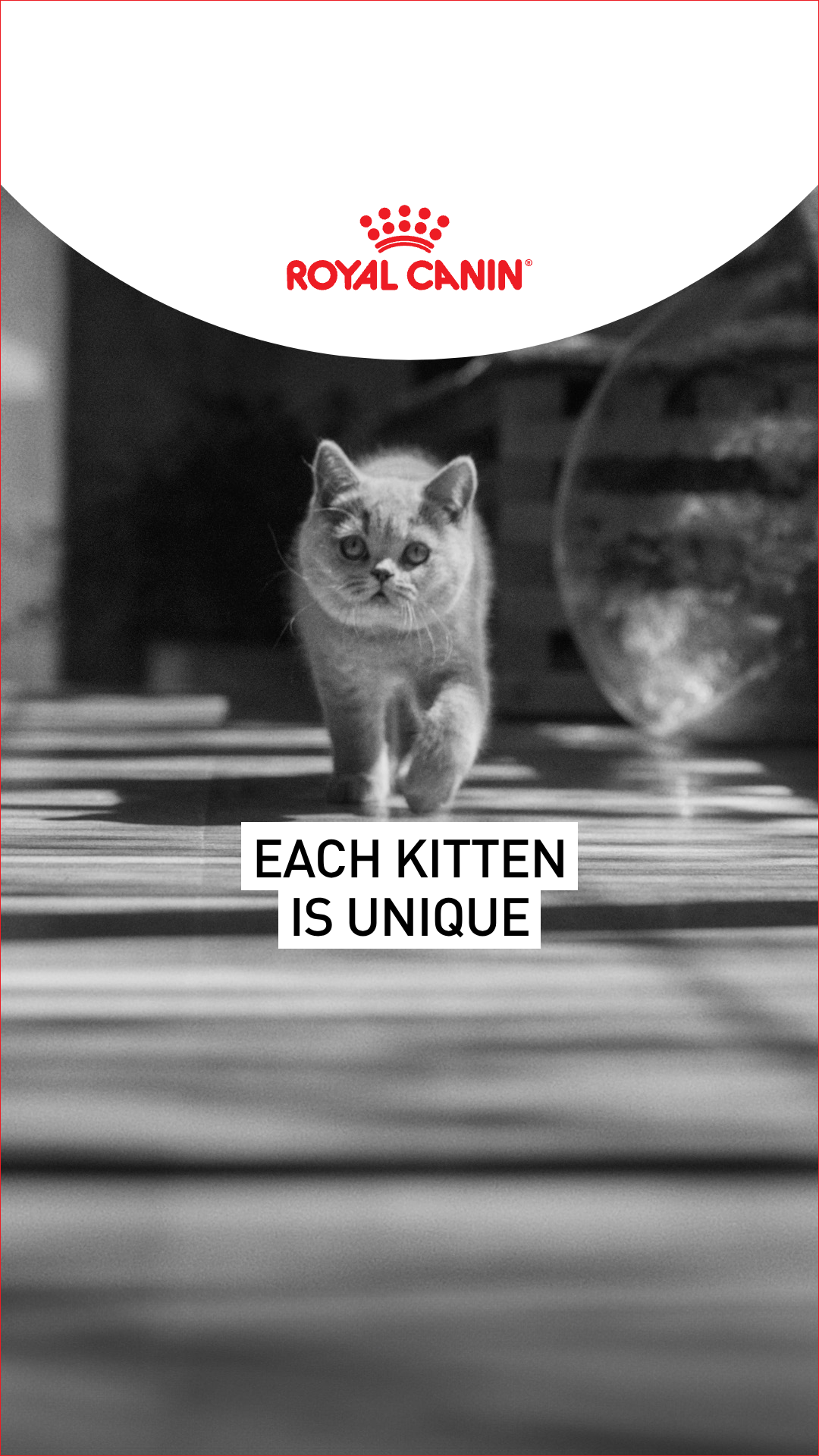 Royal Canin Facebook ad