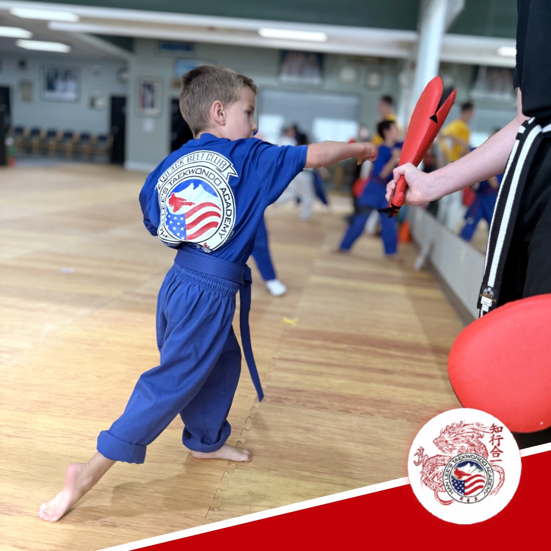 Han Lee's Taekwondo Academy Facebook ad