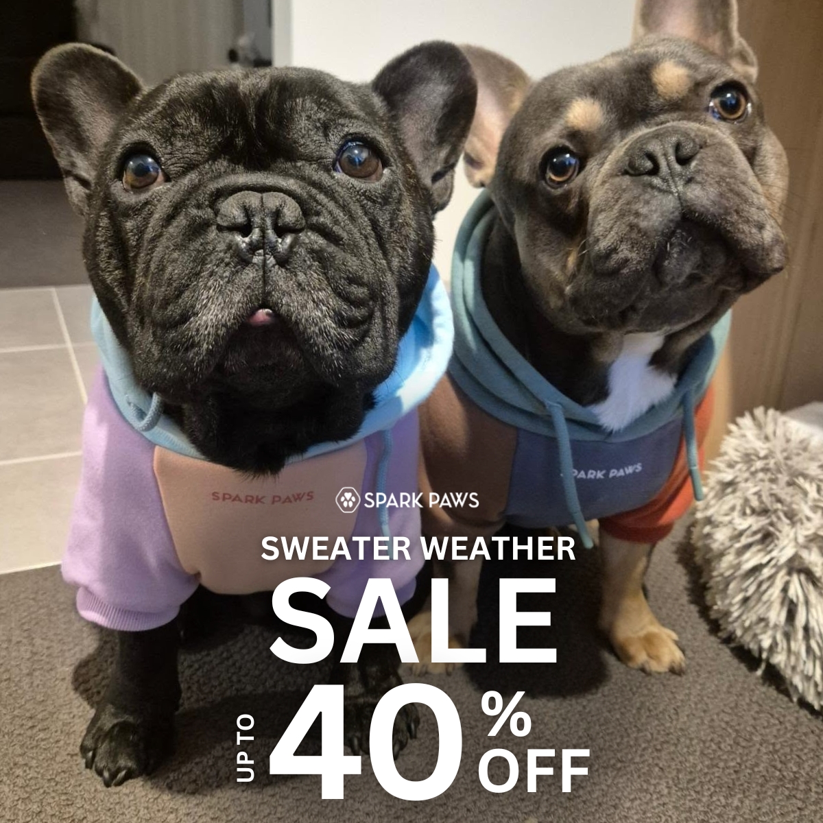 Spark Paws Facebook ad