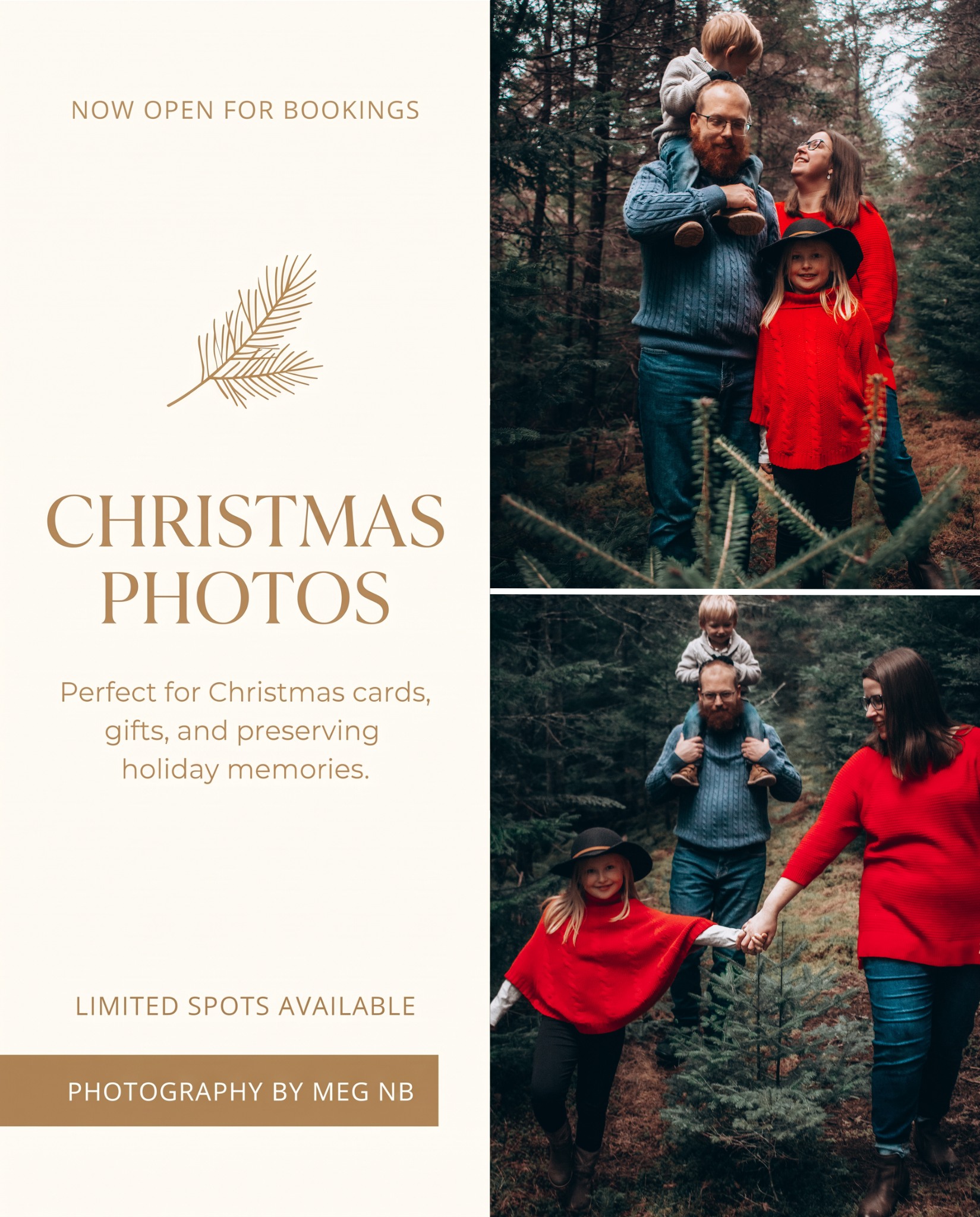 Photography by Meg NB Facebook ad: Christmas Mini Sessions Are Now Open for Booking!