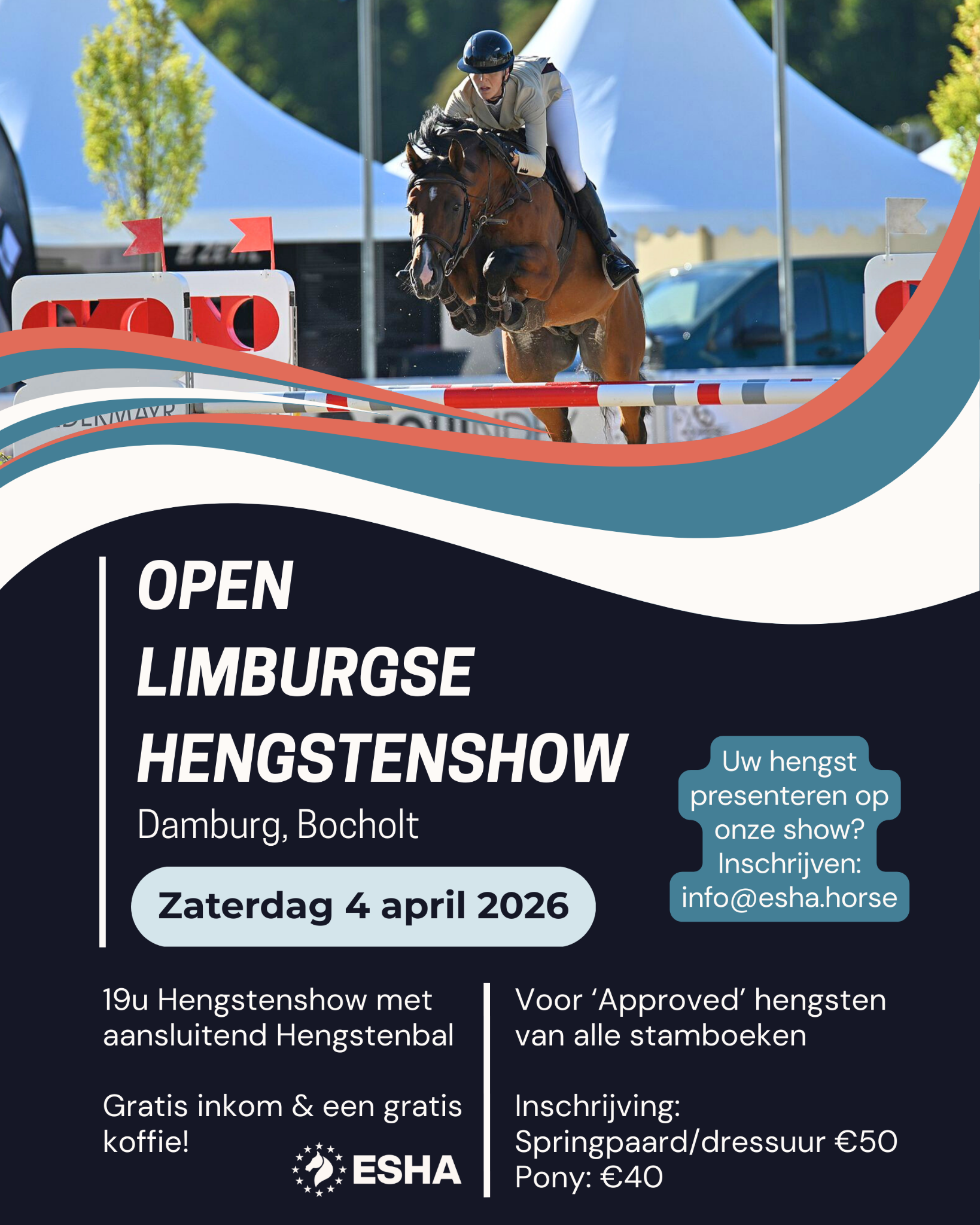 European Sport Horse Auction Facebook ad: π’π½π²π» ππΆπΊπ―ππΏπ΄ππ² ππ²π»π΄πππ²π»ππ΅πΌπ