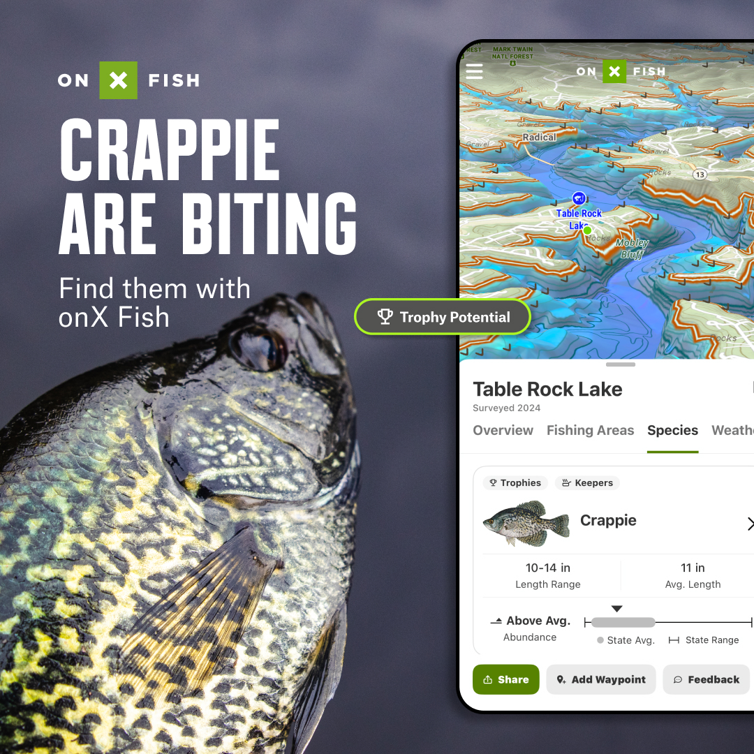 onX Fish Facebook ad