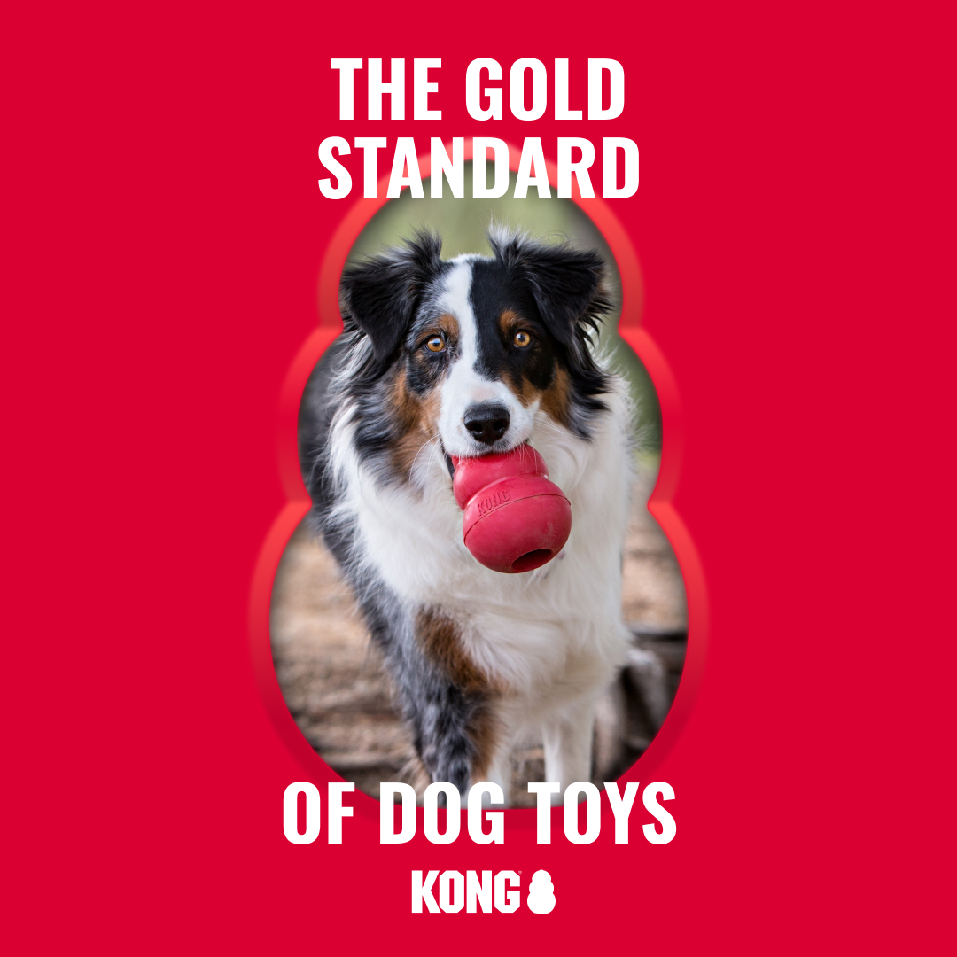KONG Facebook ad
