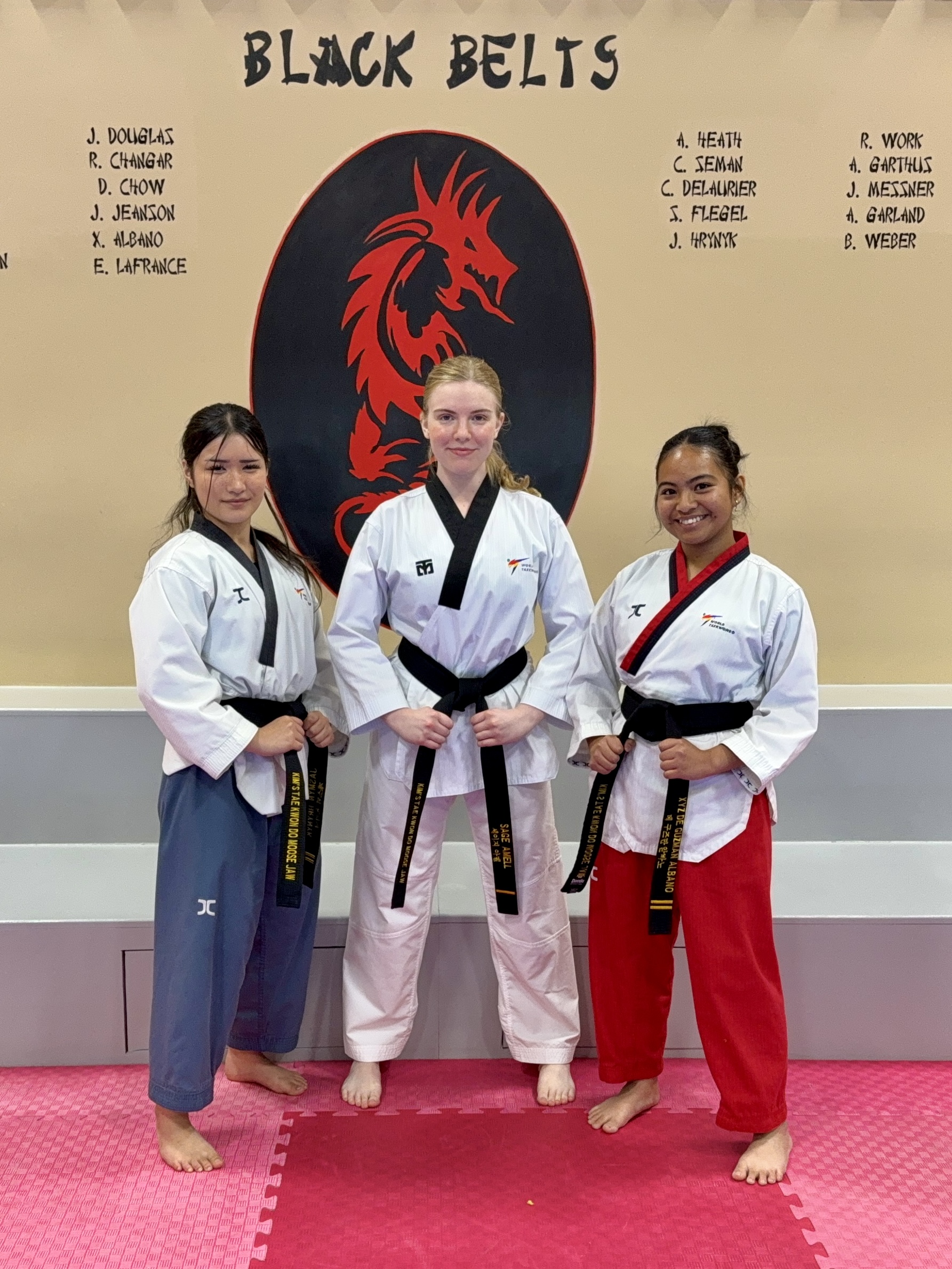 Douglas Martial Arts Facebook ad: Try Taekwondo FREE