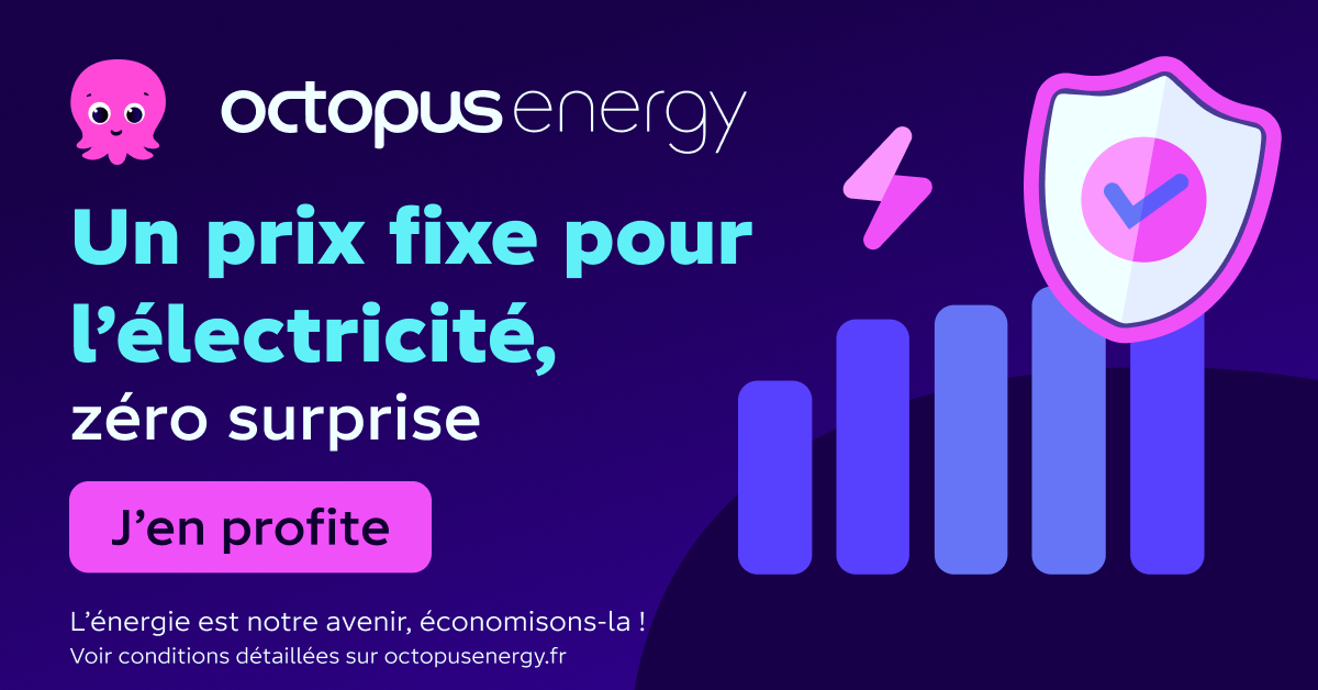 Octopus Energy Facebook ad