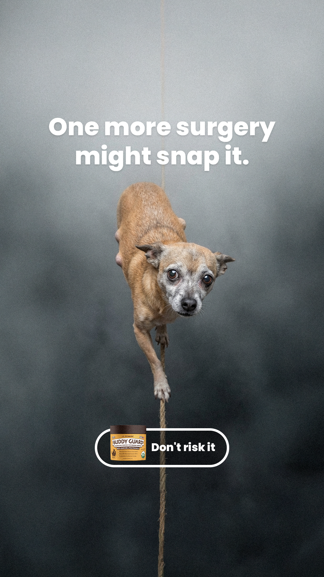 Petsmont Facebook ad