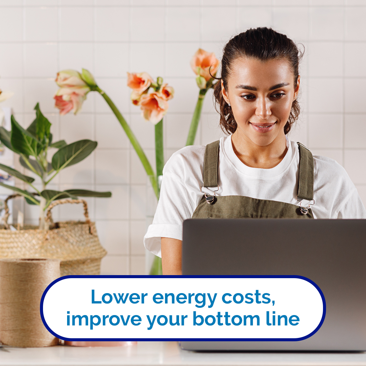 PPL Electric Utilities Facebook ad