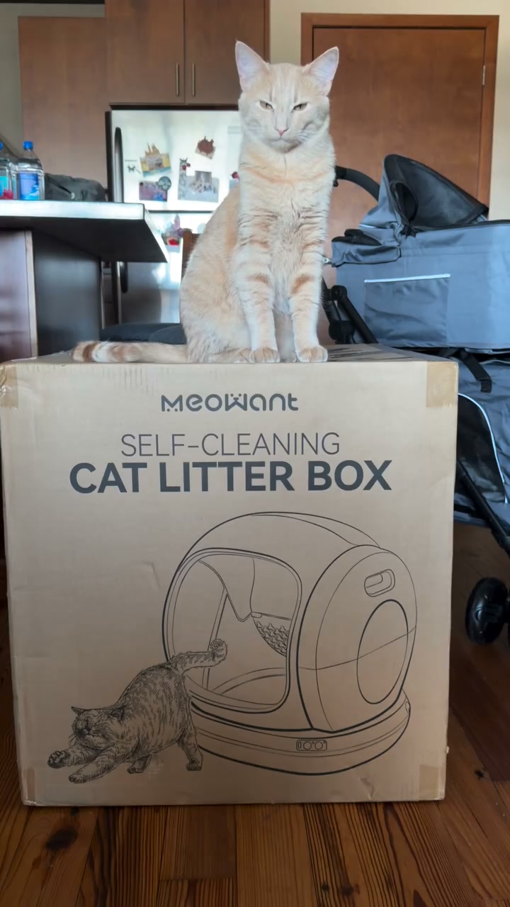 Meowant US Facebook ad: Make life easier with Meowant!