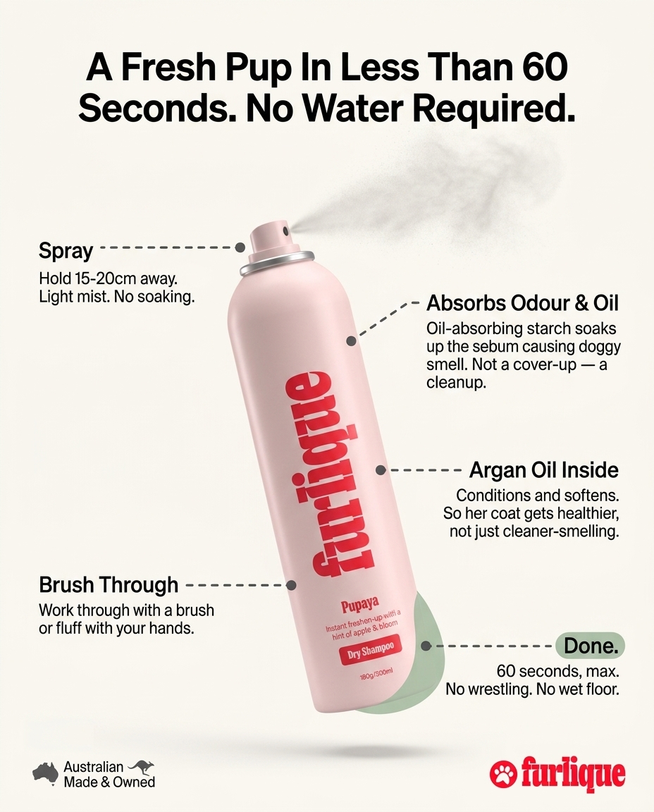 Furlique Facebook ad
