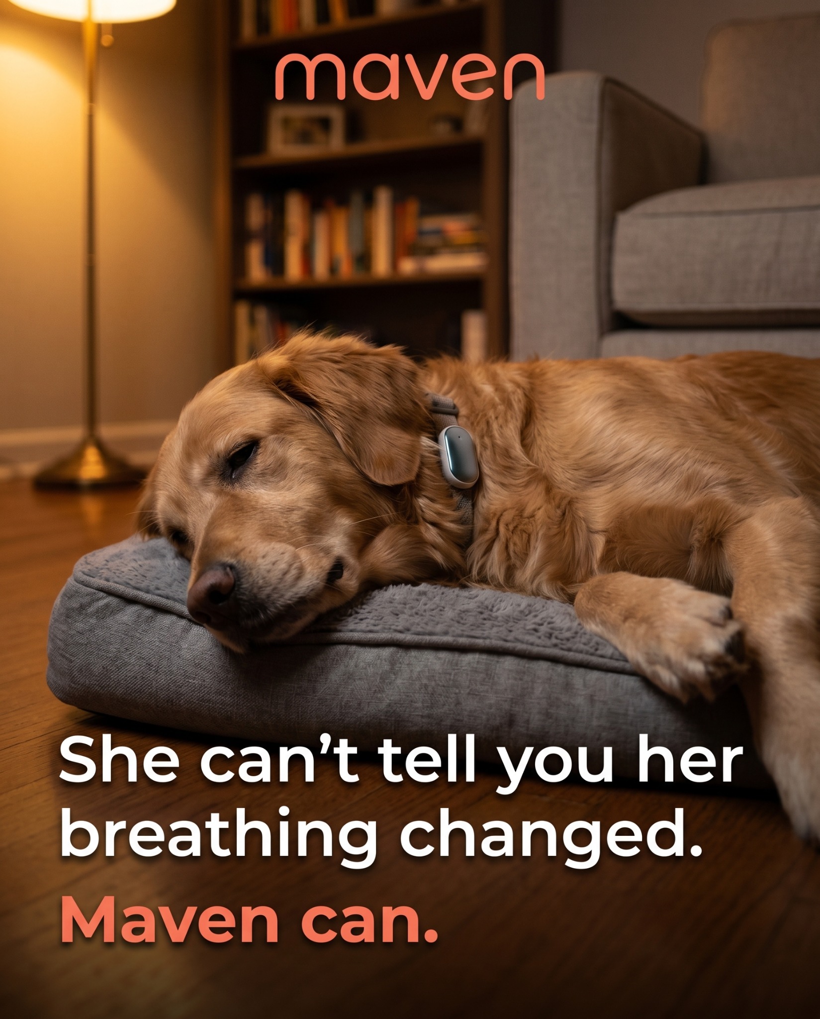 Maven Pet Facebook ad