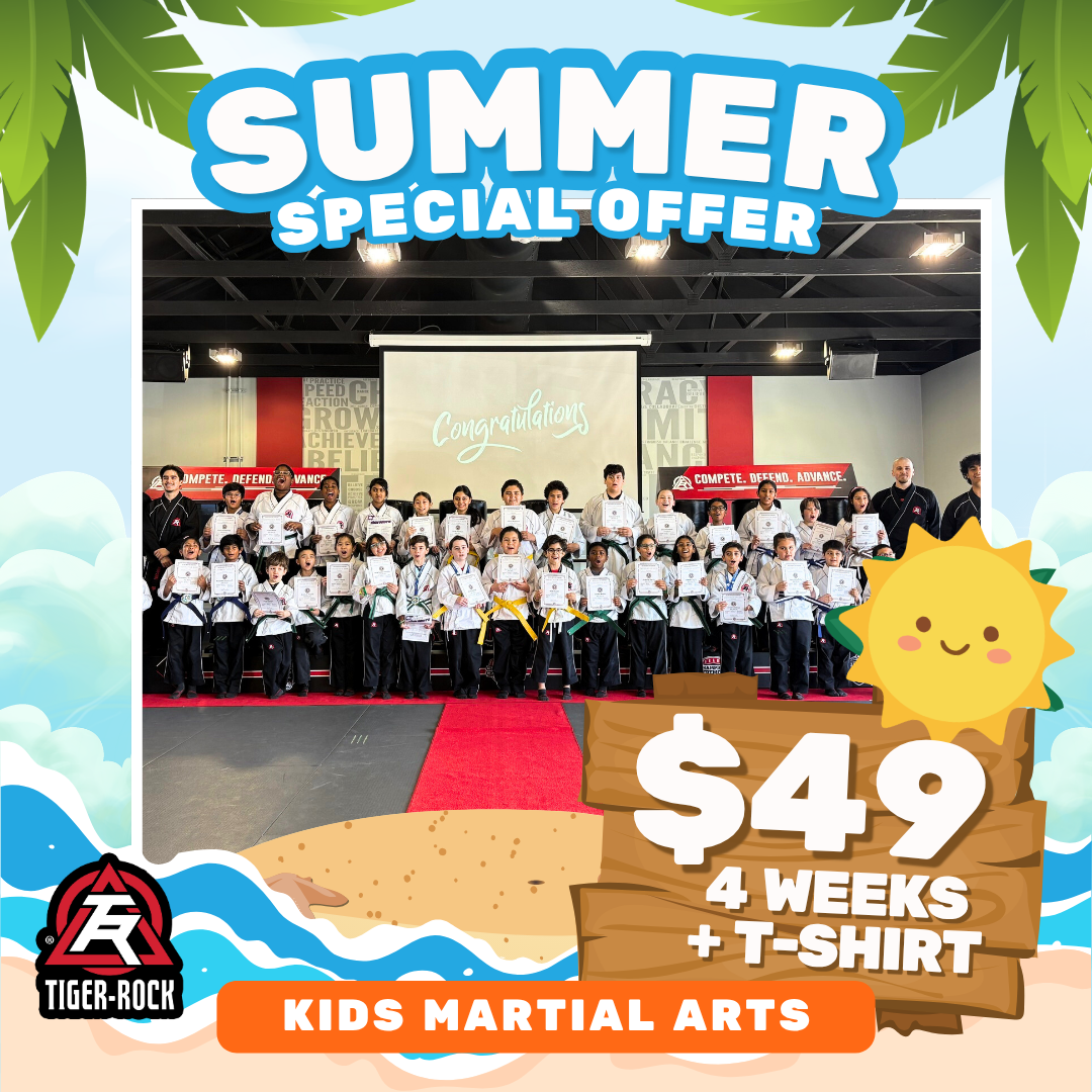 Tiger Rock Martial Arts of Katy South Facebook ad