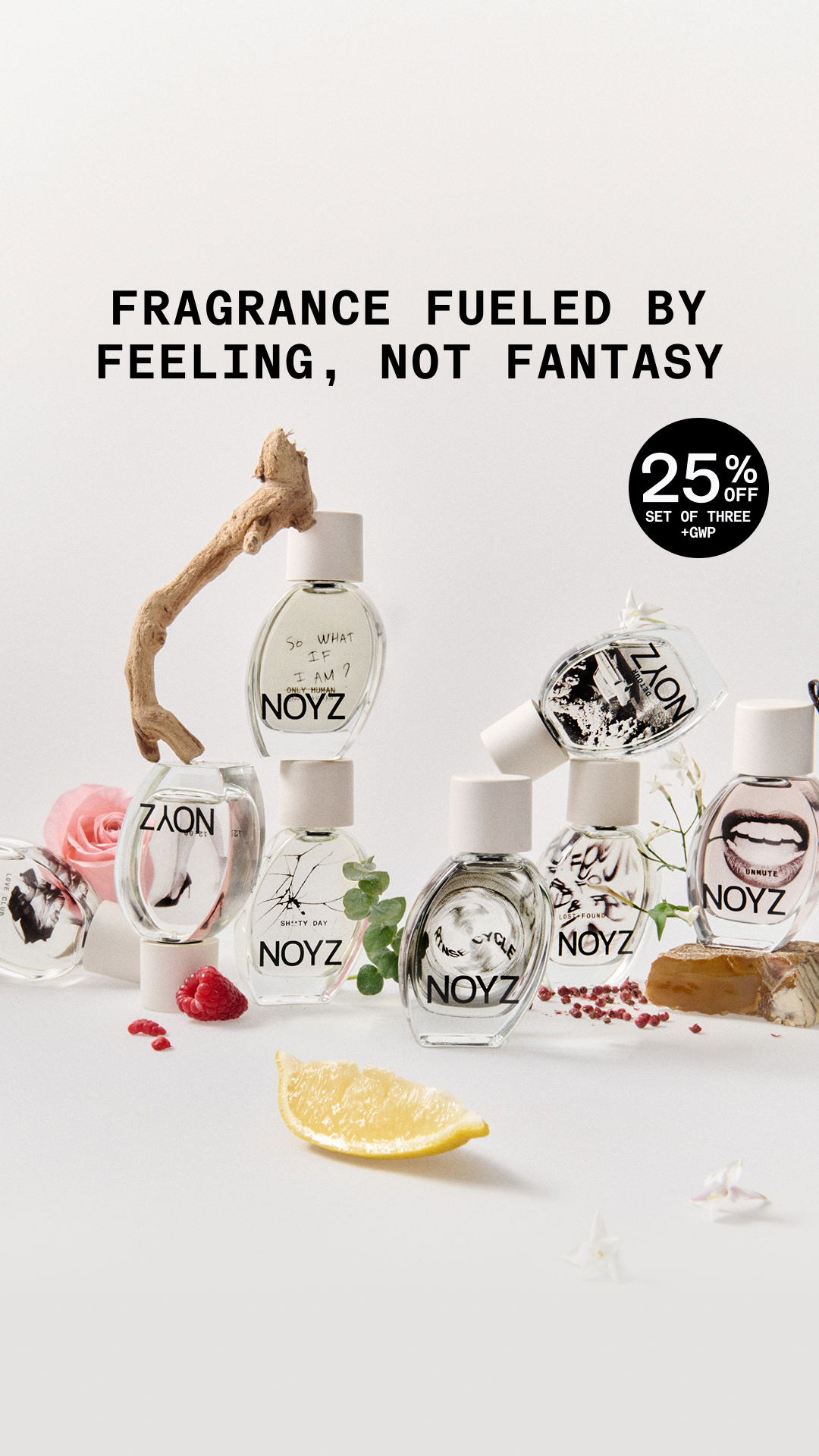 NOYZ Facebook ad