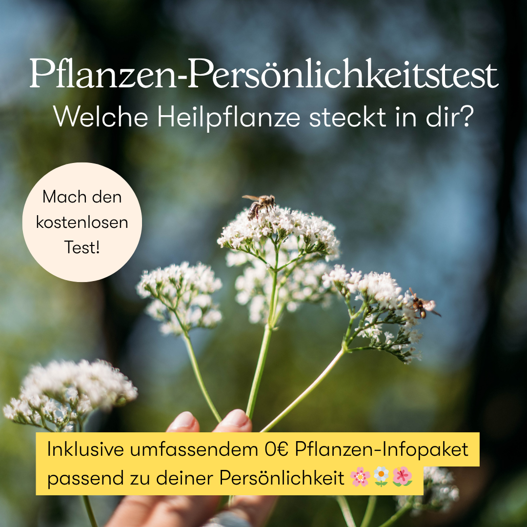 Heilpflanzen & Naturakademie Villa Natura Facebook ad