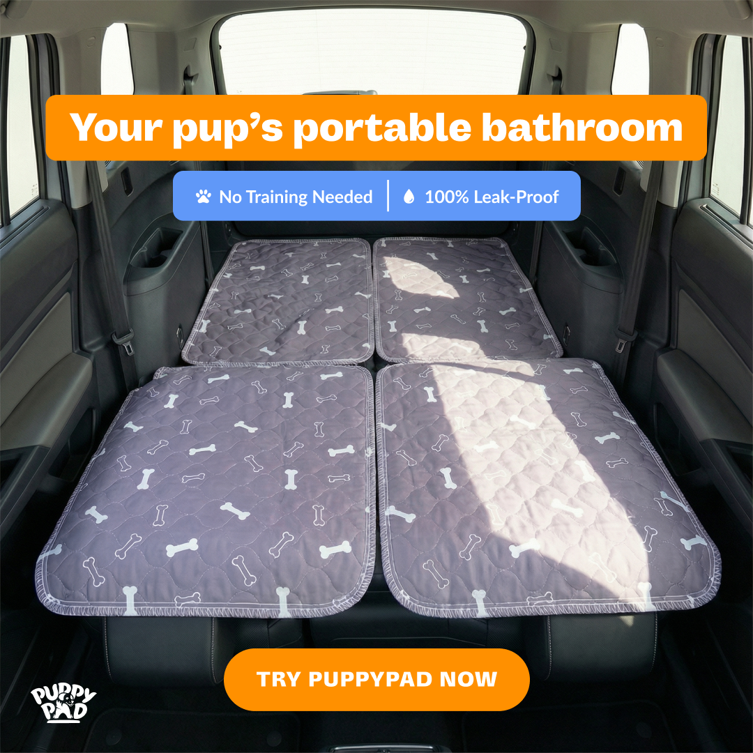 PuppyPad Facebook ad