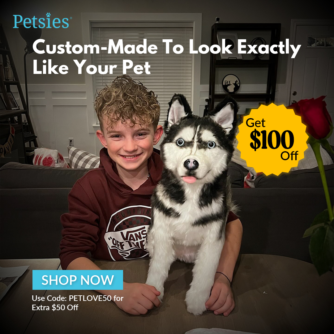 Petsies Facebook ad