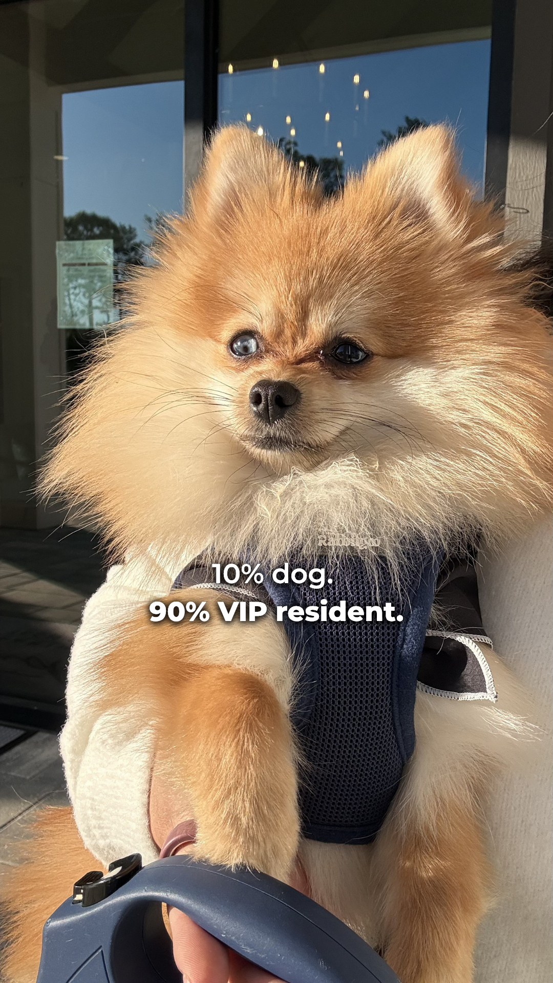 Zatitude Luxury Apartments Facebook ad from Sep 4, 2026
