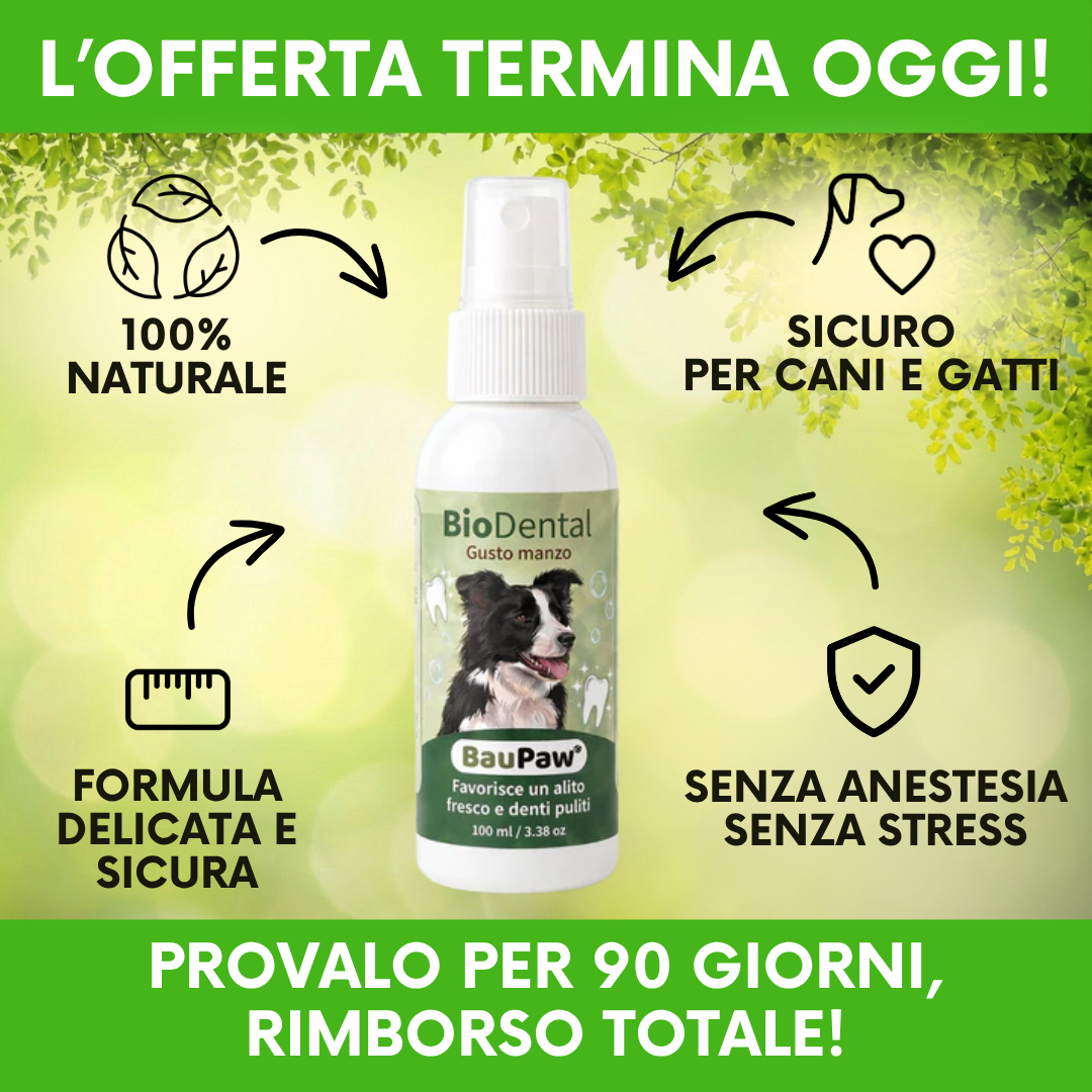 Amici a 4 Zampe Facebook ad: 5 secondi al giorno. Niente più detartrasi.