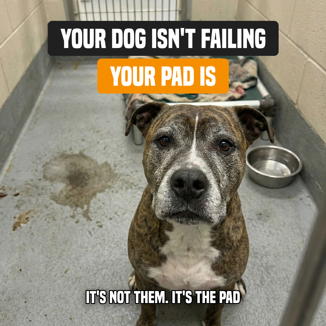 PuppyPad Facebook ad