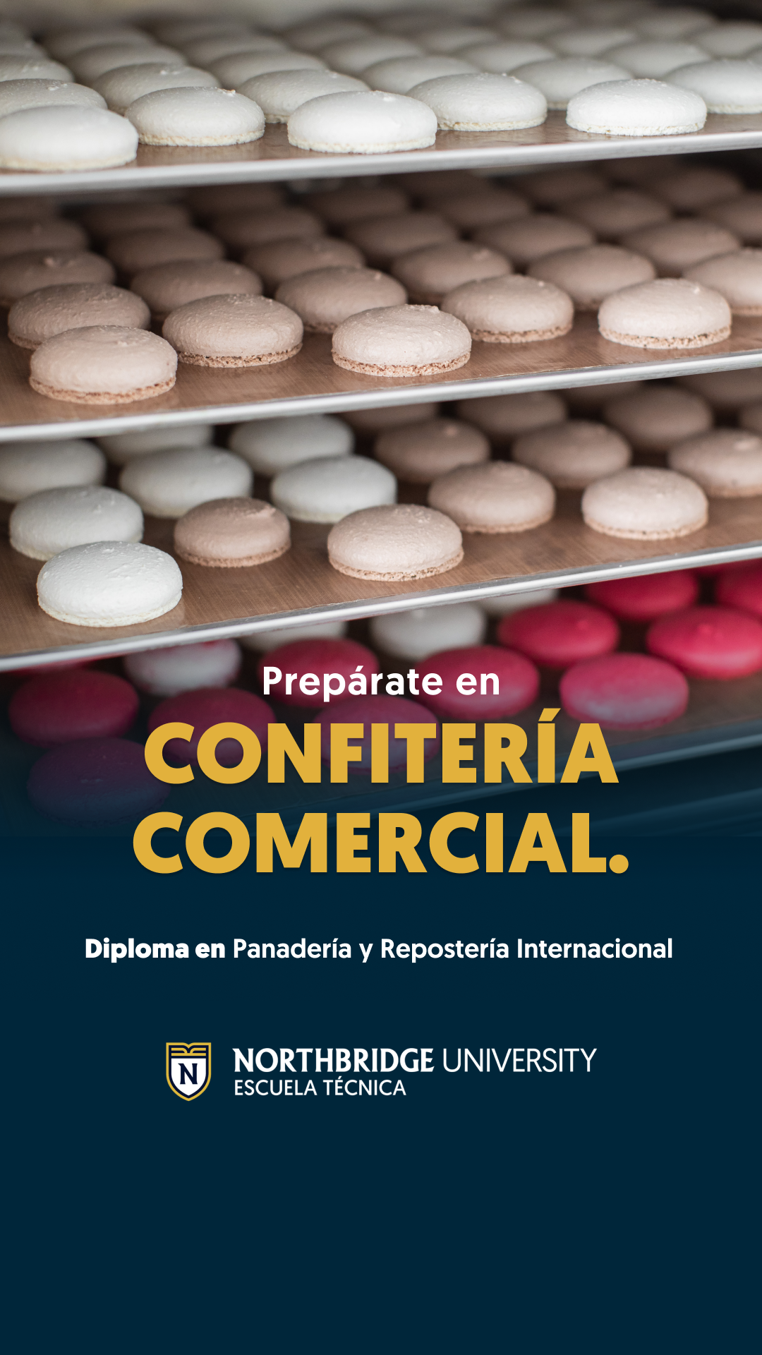 Northbridge University - Escuela Técnica Facebook ad