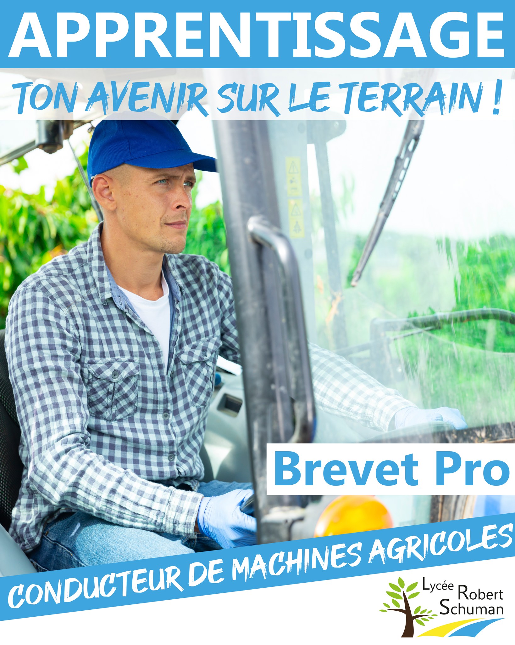 Lycée Robert Schuman Facebook ad: Brevet Professionnel CMA - Lycée Robert Schuman