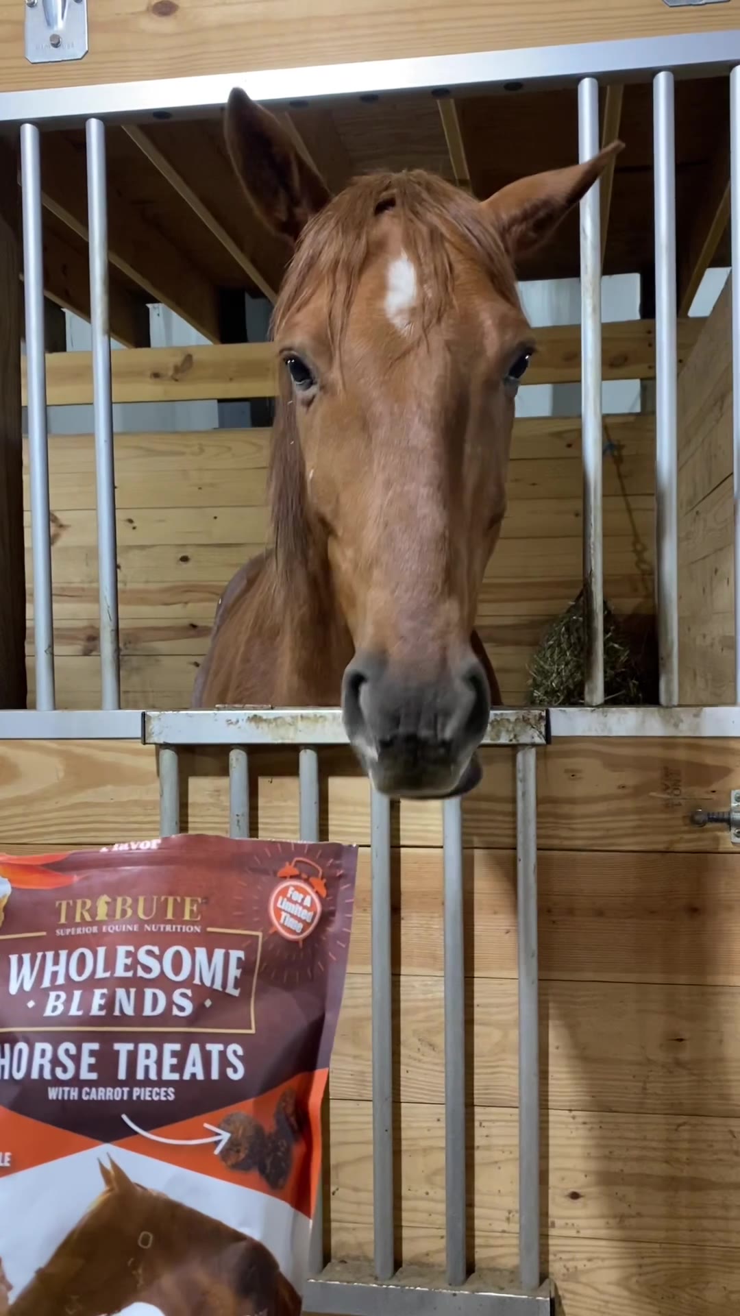 Tribute Equine Nutrition Facebook ad: For a limited time, free shipping! No code needed