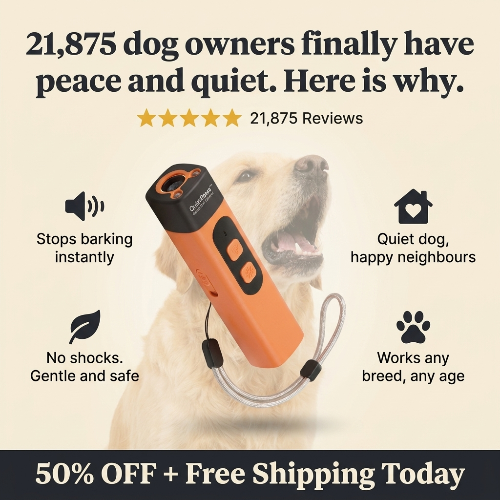 Hunters Doggy Daycare Facebook ad