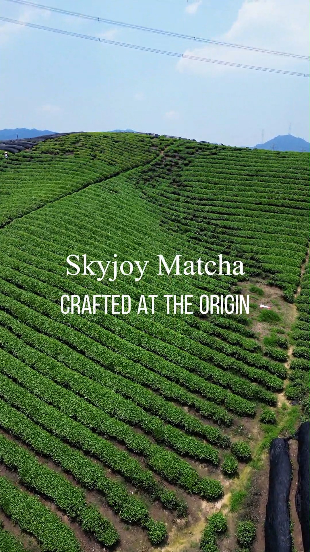 Skyjoy Matcha Facebook ad: A new matcha season is just around the…
