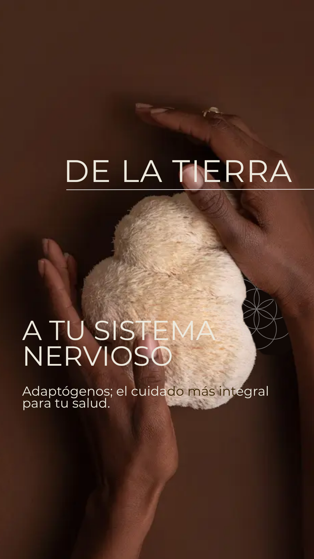 InterSer Facebook ad