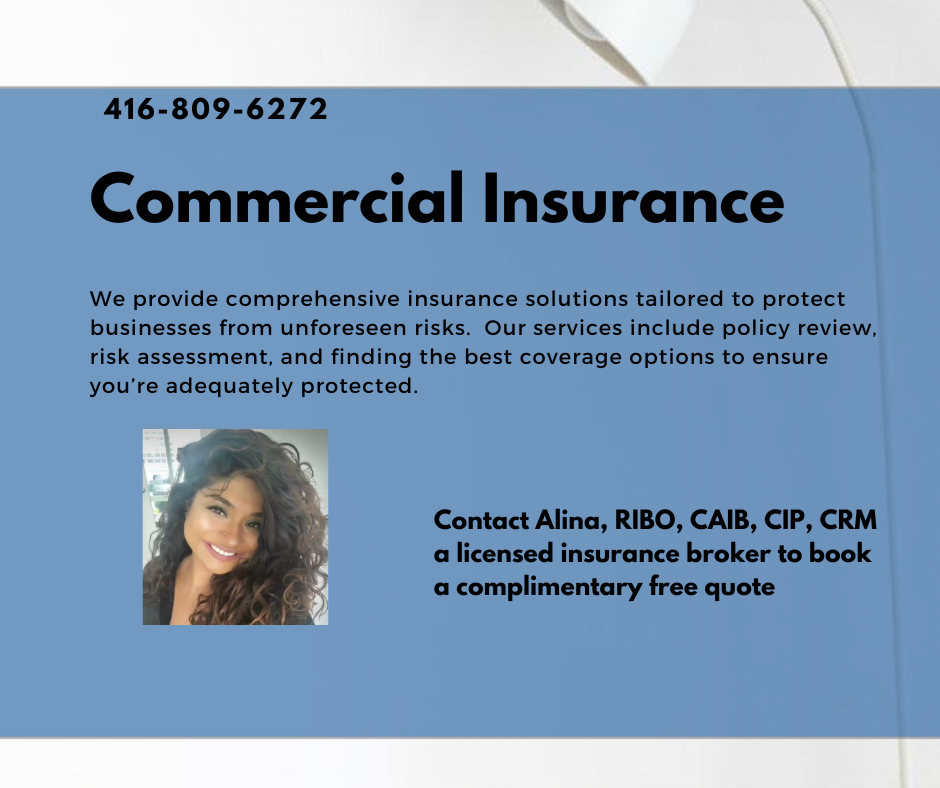 Alina Insurance Facebook ad