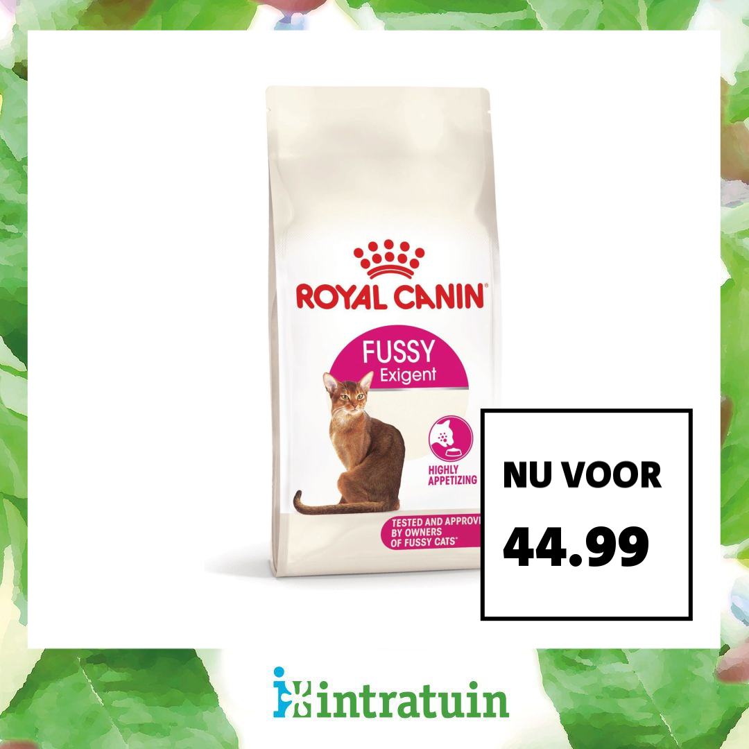Intratuin Facebook ad