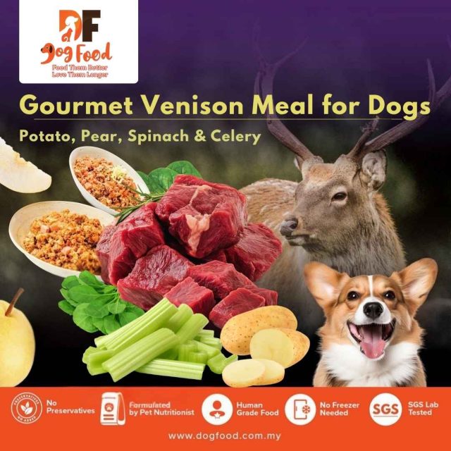DF DogFood Facebook ad: Not all dog food is created equal.