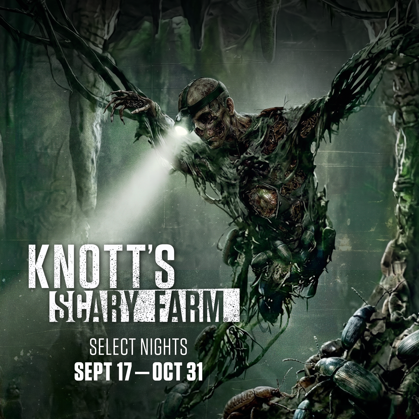 Knott's Berry Farm Facebook ad: UNEARTHED - All New Maze