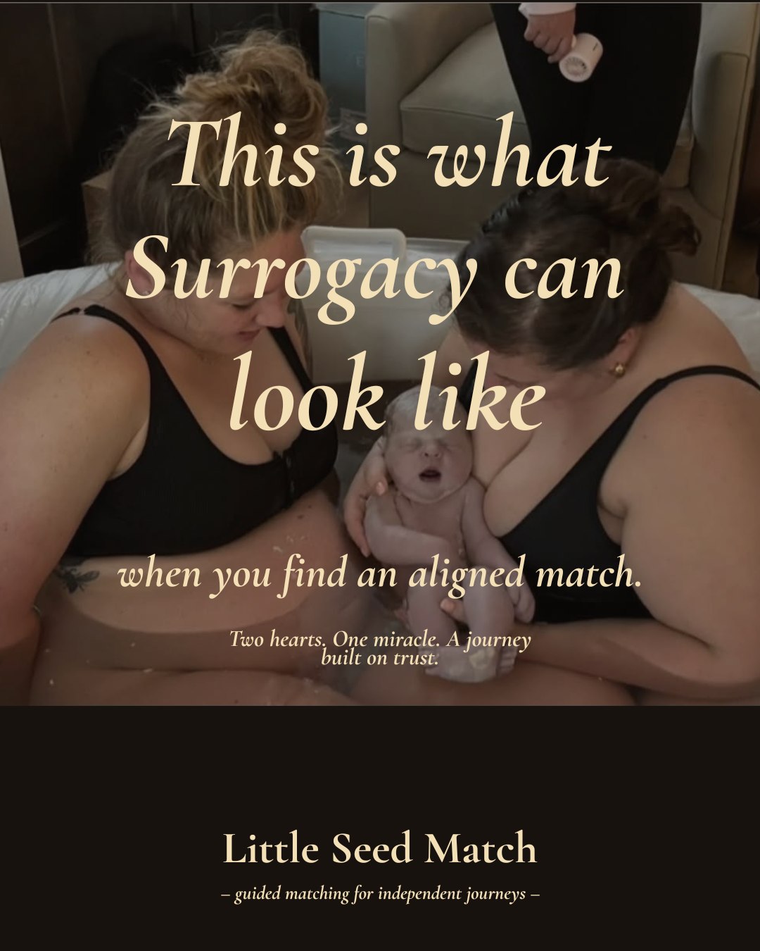 Little Seed Match Facebook ad