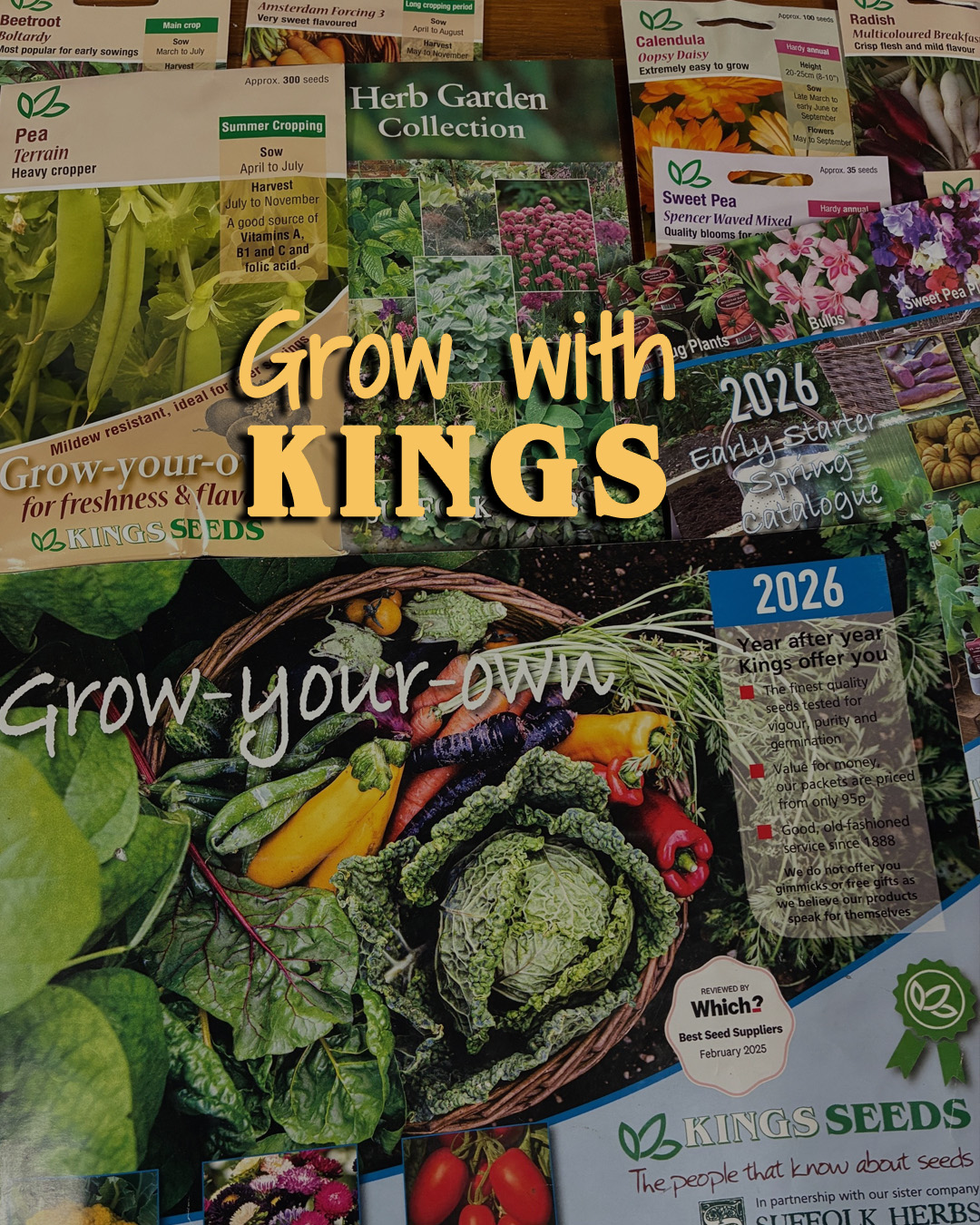 Kings Seeds Facebook ad: Order Vegetable Seeds Online from Kings Seeds | A leading…