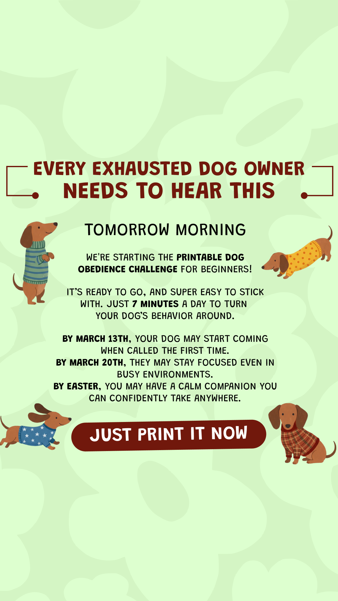 28 Day Dog Obedience Challenge Facebook ad