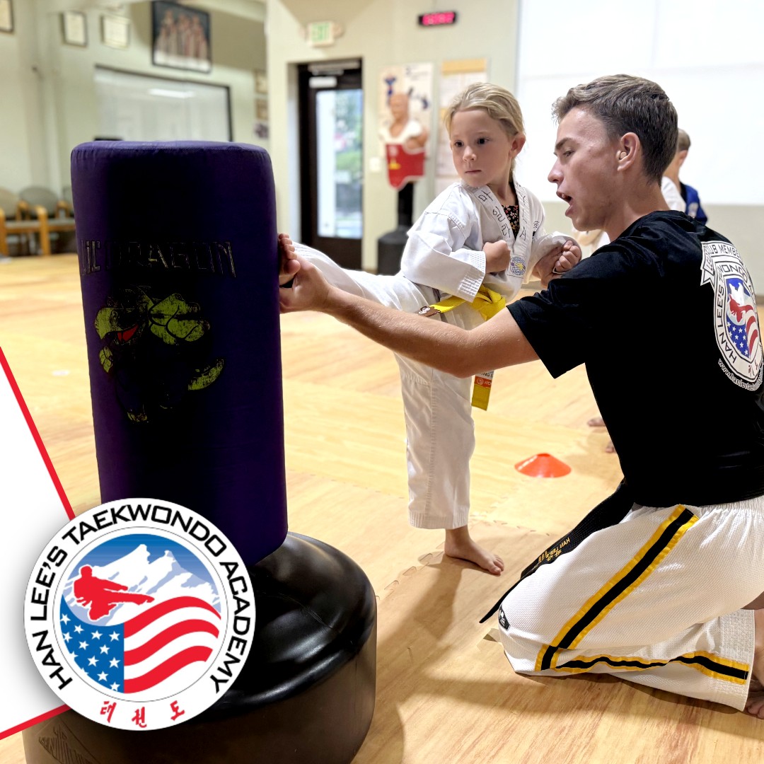 Han Lee's Taekwondo Academy Facebook ad
